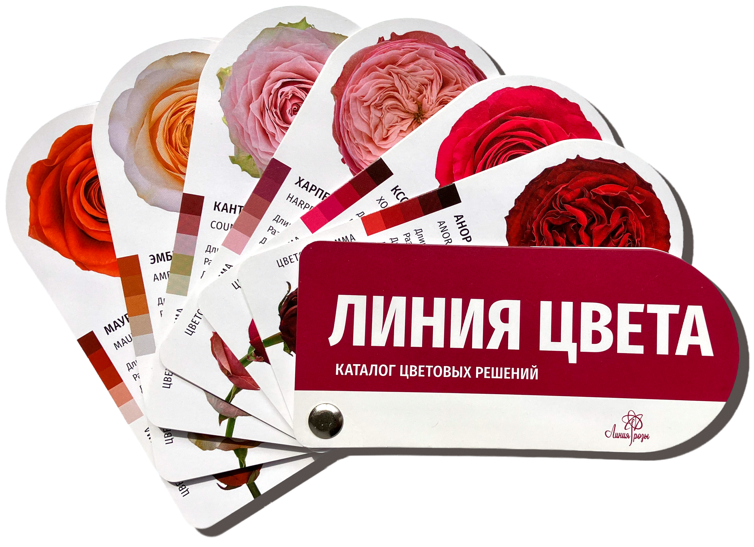 брендинг цветочного бизнеса